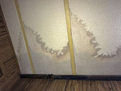Professional basement mold remediation services in Basement Mold Remediation